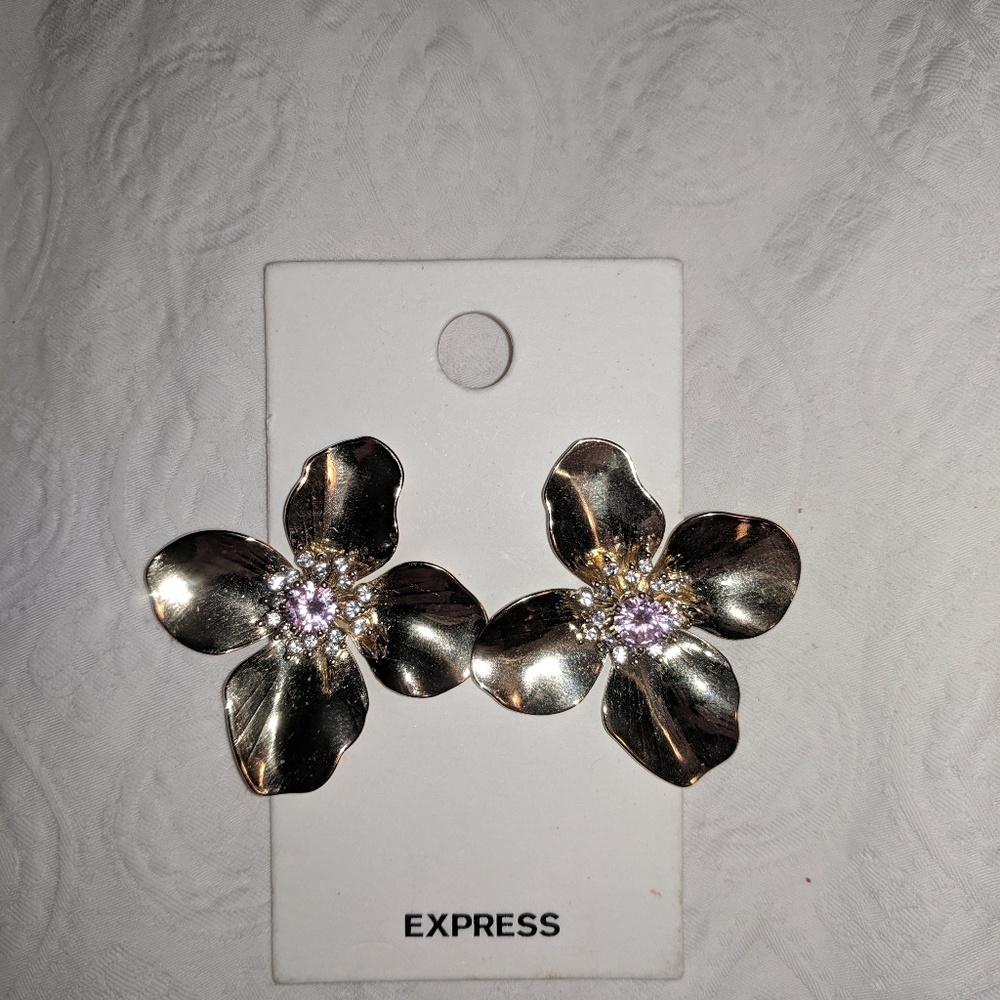 NWT Express Earrings